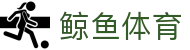 鲸鱼体育（中国）: 即时比分、在线直播与电竞平台官方网站 - JINGYU SPORTS